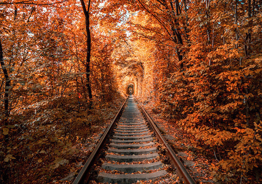 il Treno del foliage