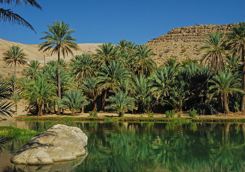 Oman: avventura in 4x4 Oman: avventura in 4x4