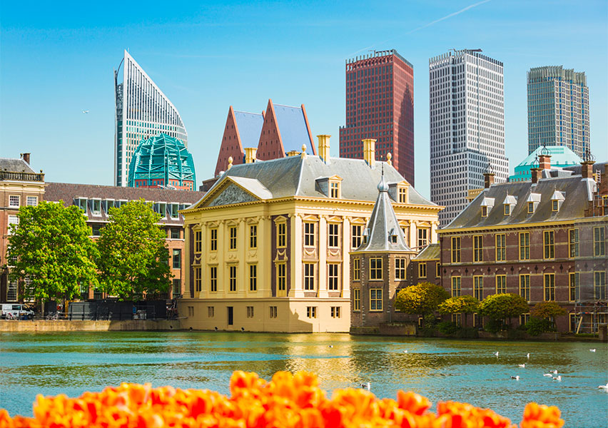 Olanda: la fioritura dei tulipani al Keukenhof Olanda: la fioritura dei tulipani al Keukenhof