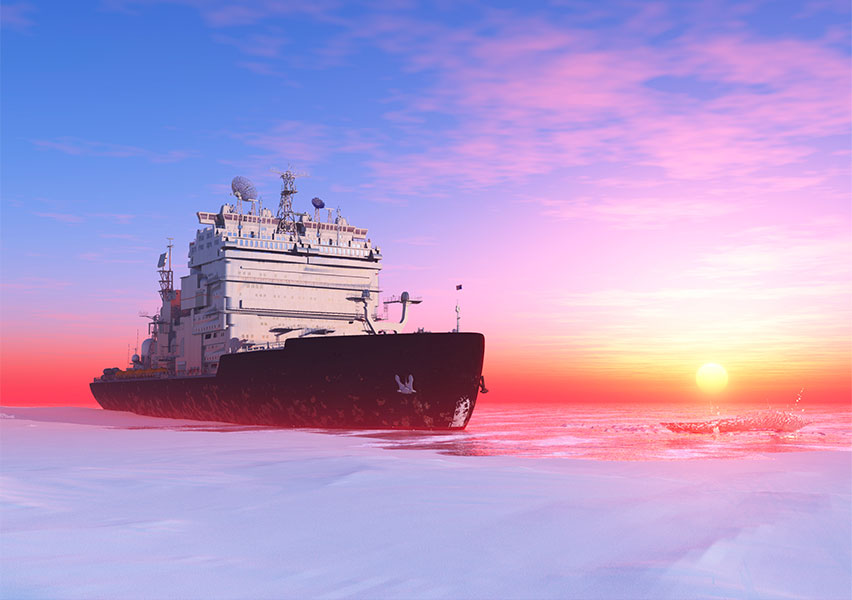 Crociera Icebreaker Crociera Icebreaker