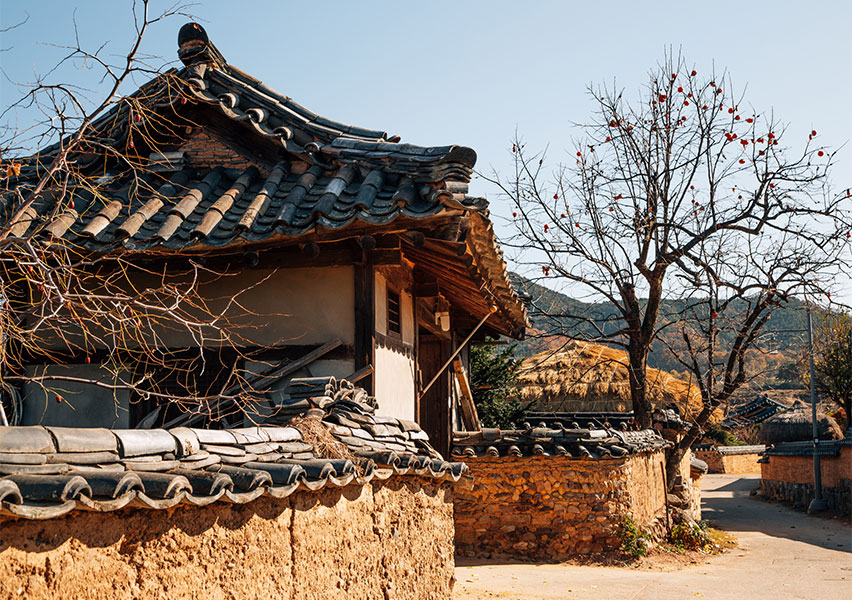 Corea del Sud Corea del Sud