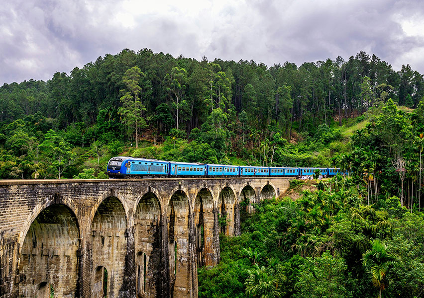 Sri Lanka con accompagnatore