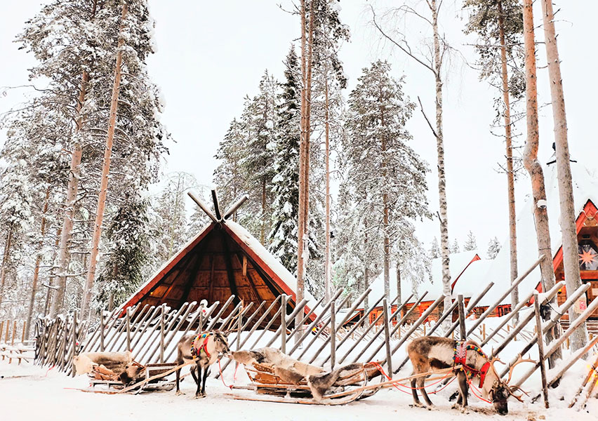Rovaniemi: la magia del Nord Rovaniemi: la magia del Nord